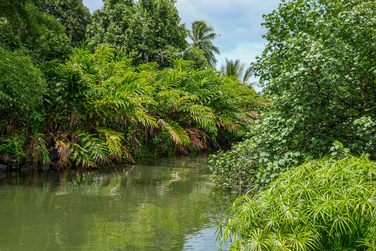A côté du Jardin Botanique-1