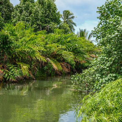 A côté du Jardin Botanique-1