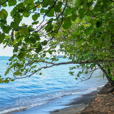 A côté du Jardin Botanique-2