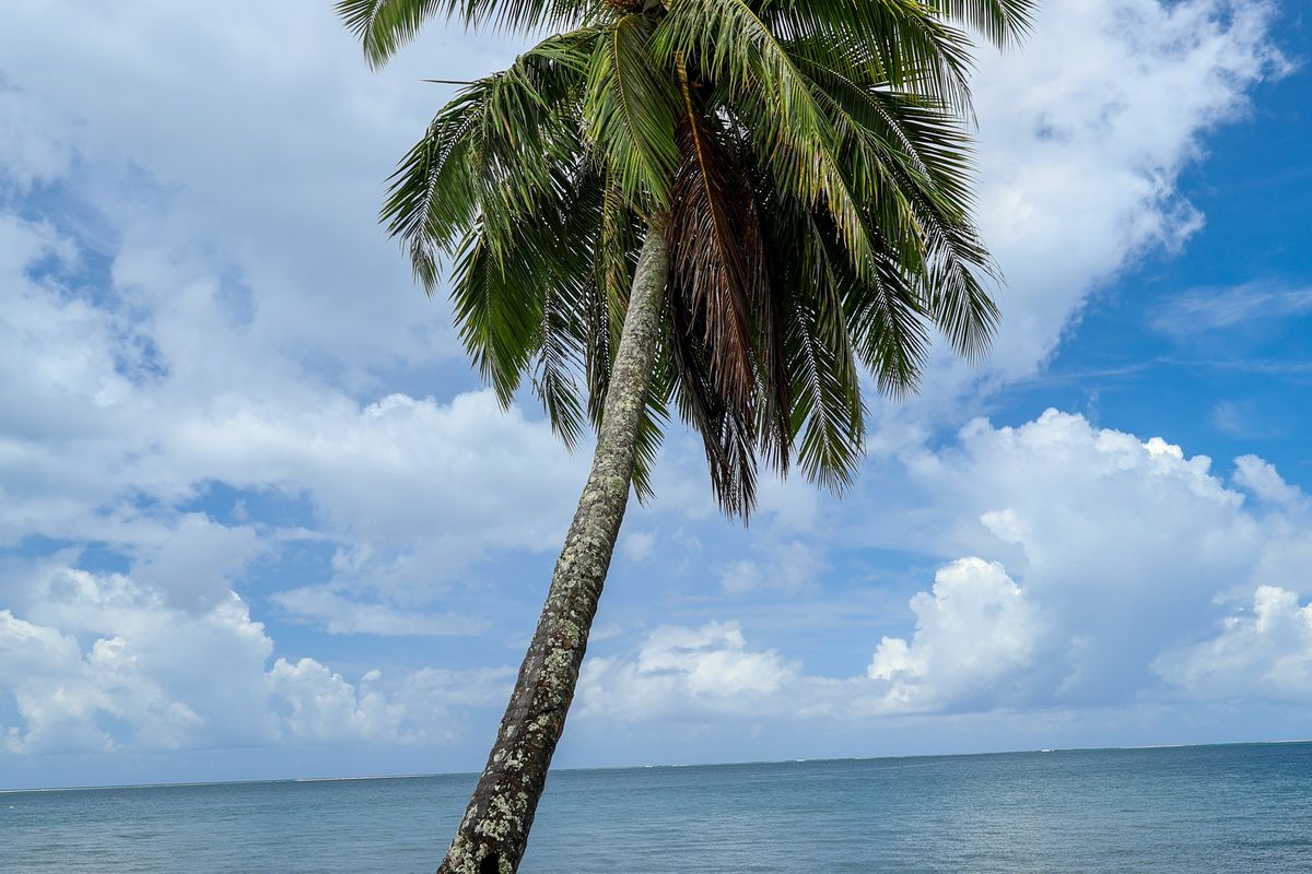 A côté du Jardin Botanique-3