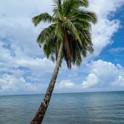 A côté du Jardin Botanique-3