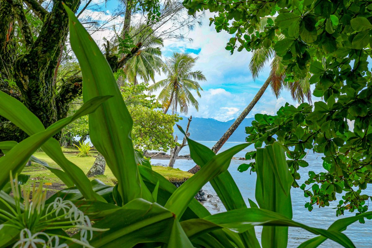 A côté du Jardin Botanique-4