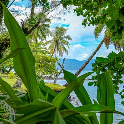 A côté du Jardin Botanique-4